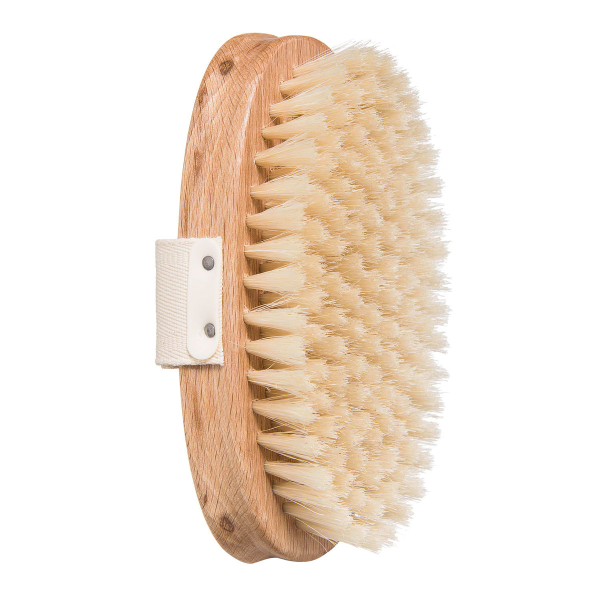 http://www.milamoursi.com/cdn/shop/products/Body_Brush3.jpg?v=1630515276&width=1200